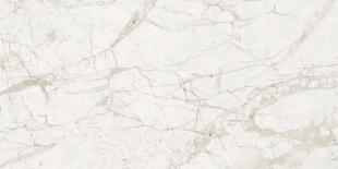Керамогранит NT Ceramic Marmo Impero Grey Carving арт. NTT99519M (60x120) матовый карвинг